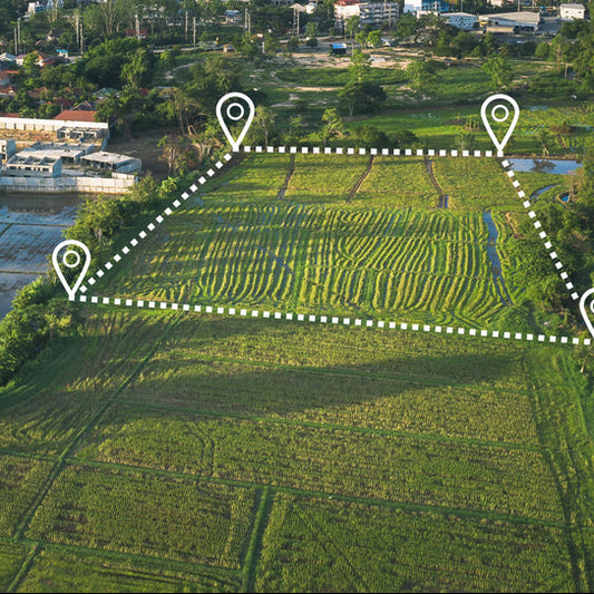 City Approval and Rezone