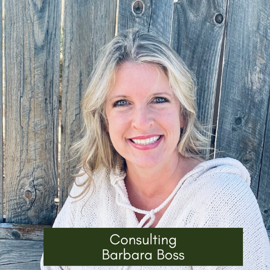 Consulting Bulk Purchase (prepaid 5 hours)